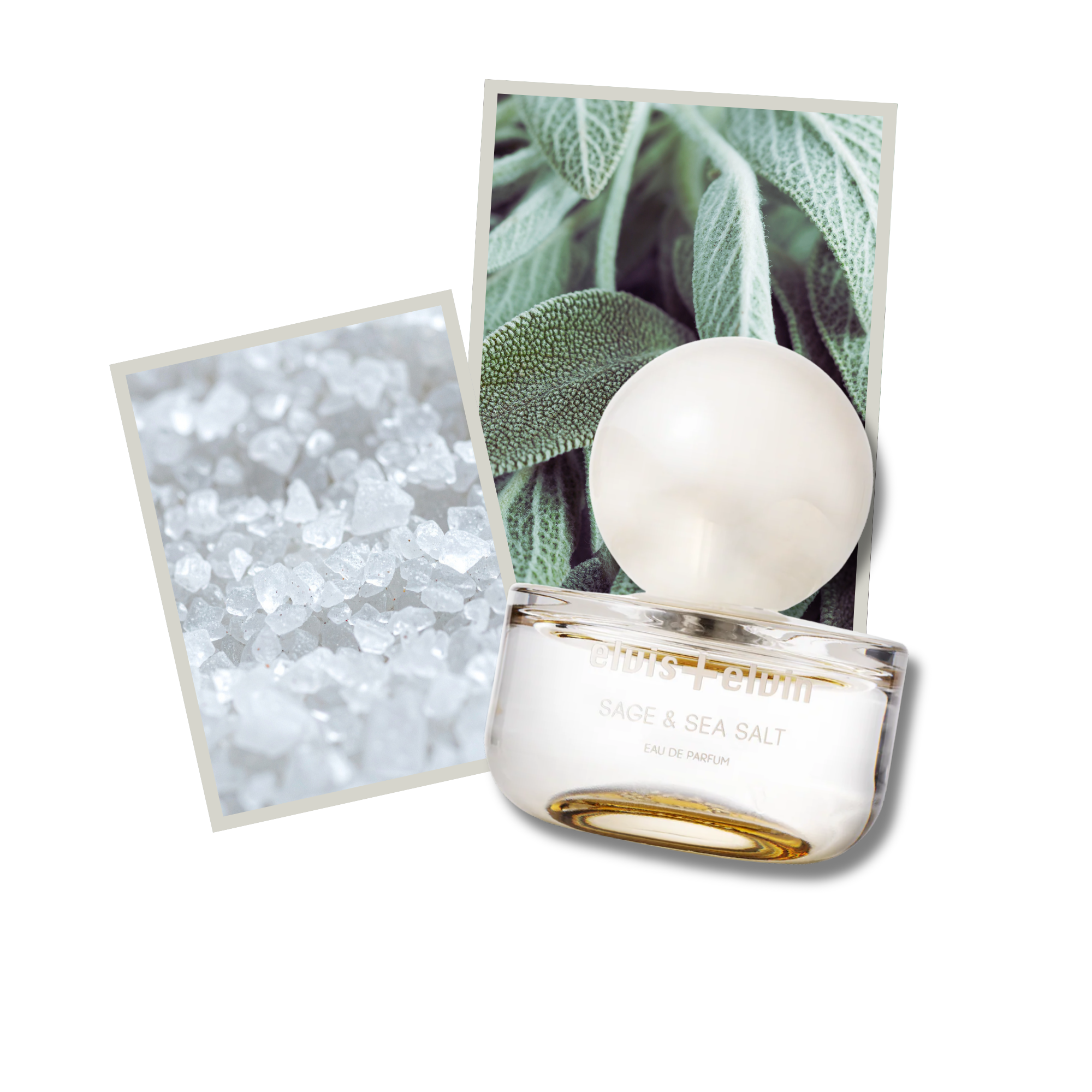 Sage & Sea Salt Eau de Parfum – elvis+elvin