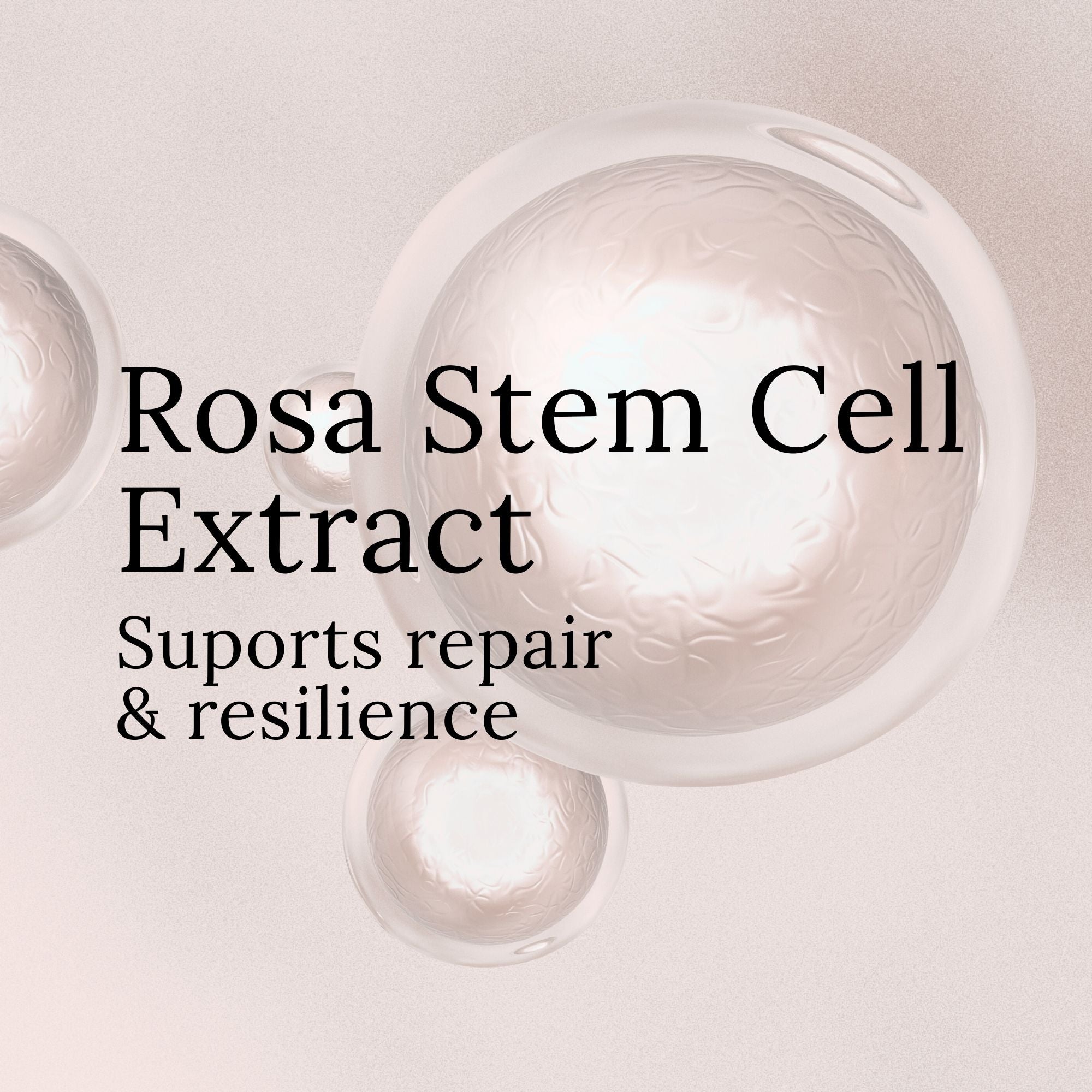 elvis+elvin Rose Revitalizing Treatment Mask 3.0