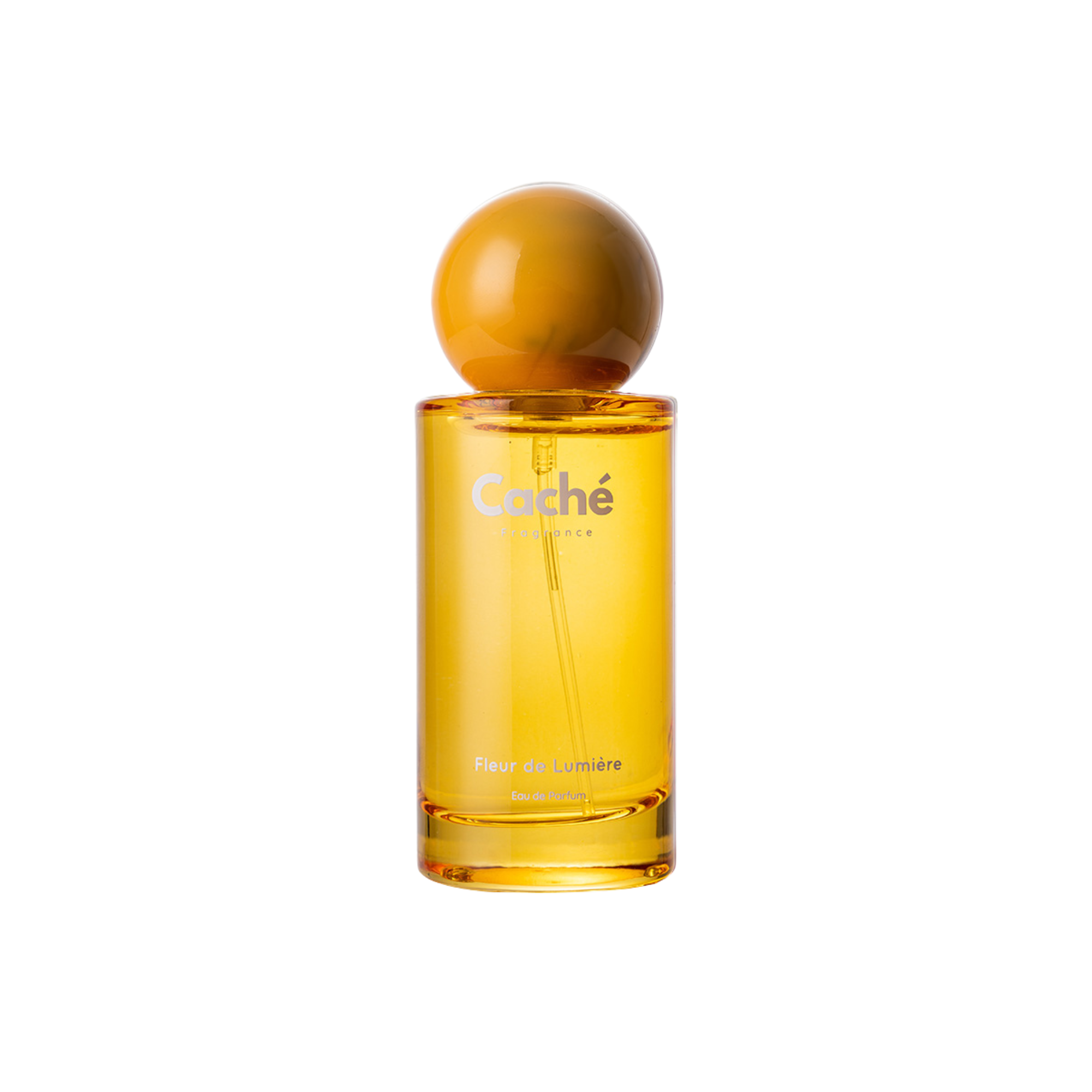 Caché - Fleur de Lumière
