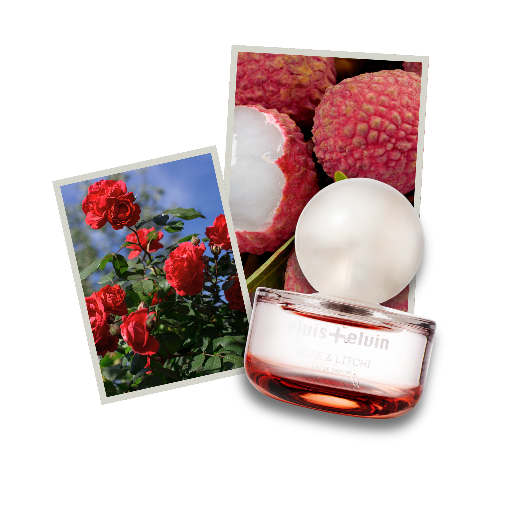 Rose & Litchi Eau de Parfum – elvis+elvin