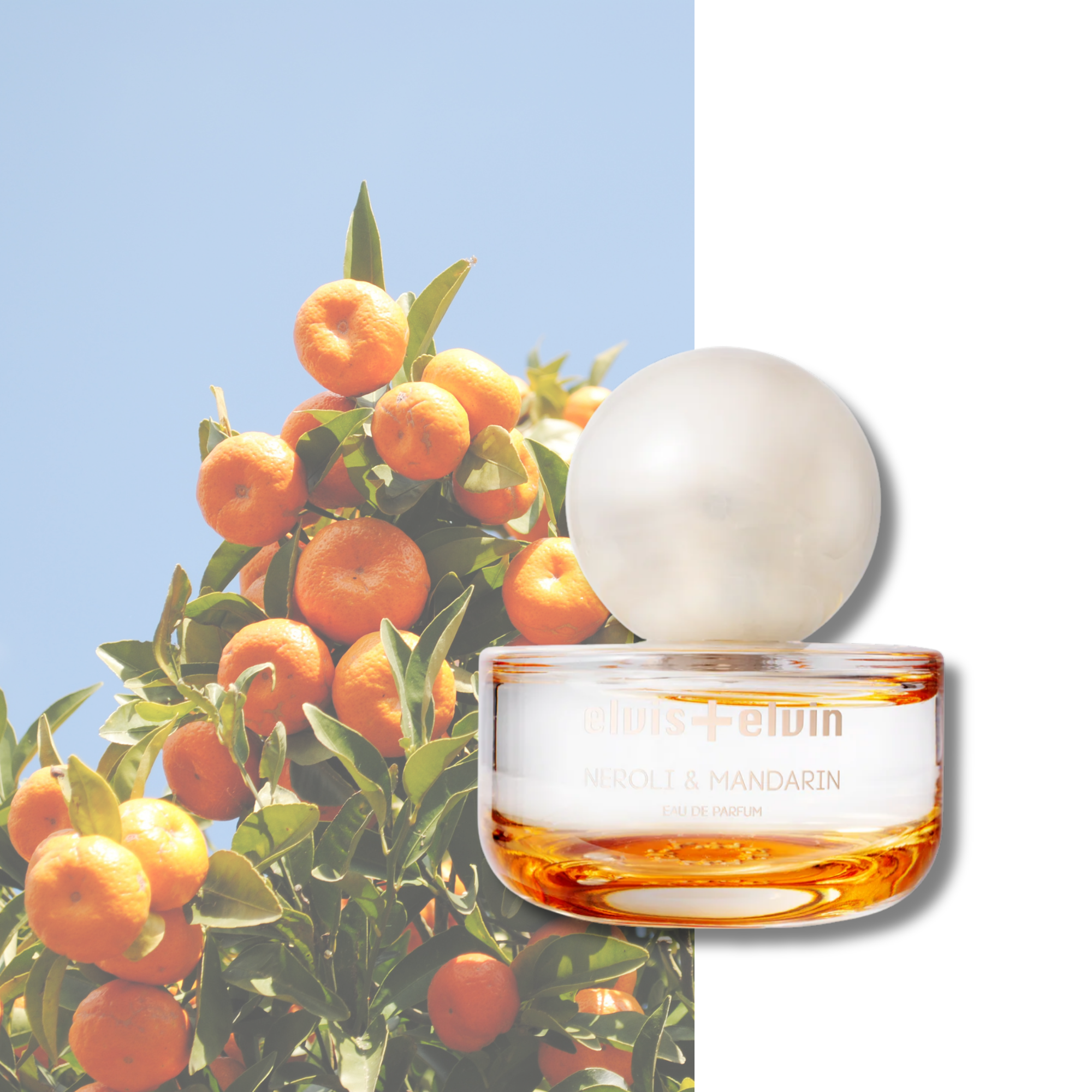 Neroli & Mandarin Eau de Parfum – elvis+elvin