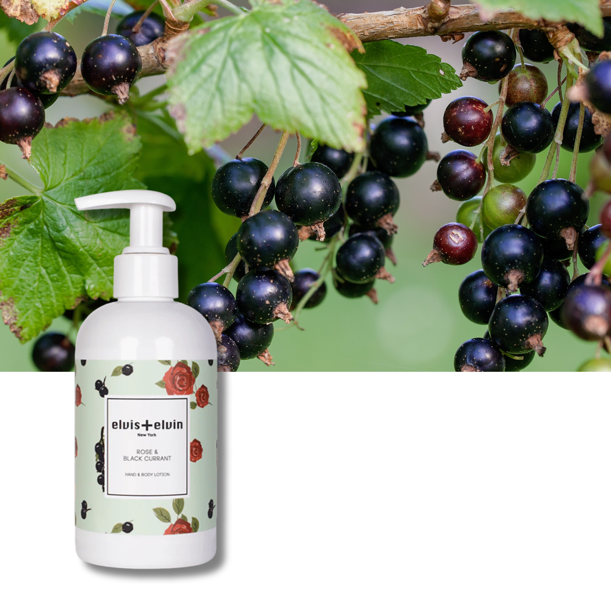 elvis+elvin Rose & Black Currant Hand & Body Lotion