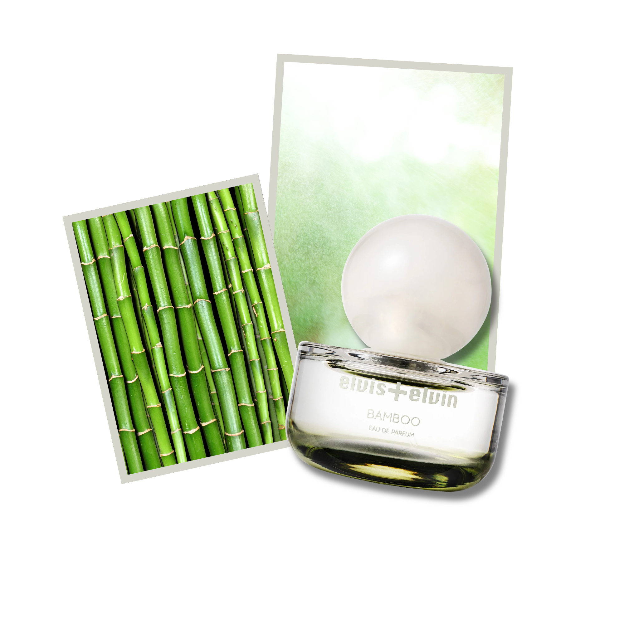 Bamboo Eau de Parfum – elvis+elvin