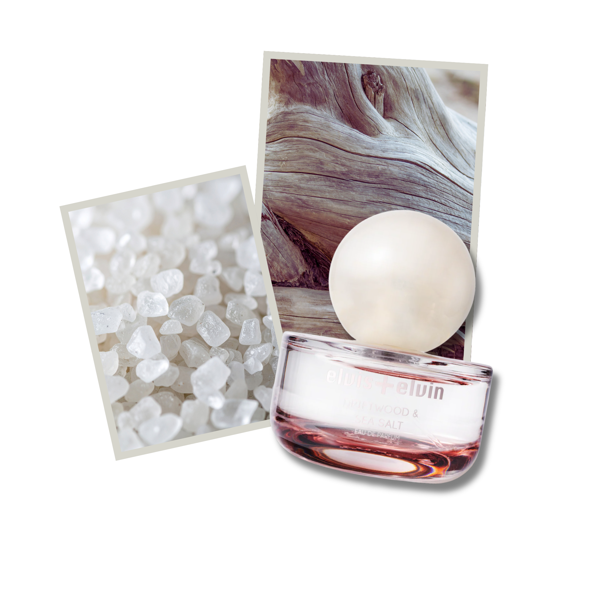 Driftwood & Sea Salt Eau de Parfum – elvis+elvin
