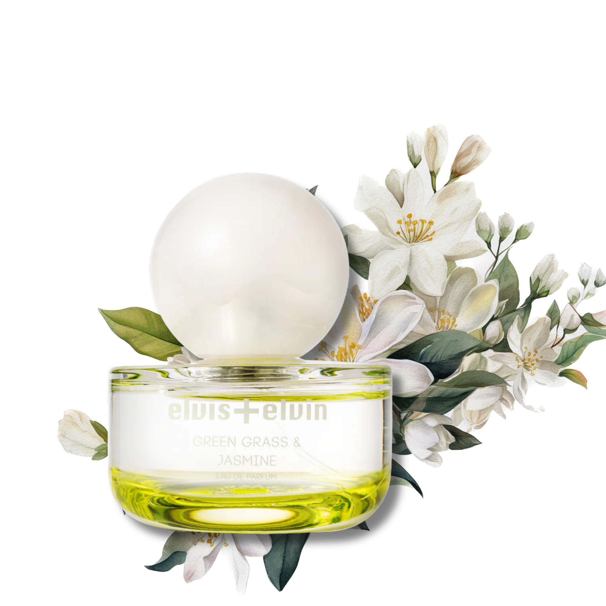 Green Grass & Jasmine Eau de Parfum – elvis+elvin