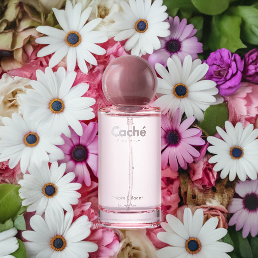 Caché - Ombre Élégant