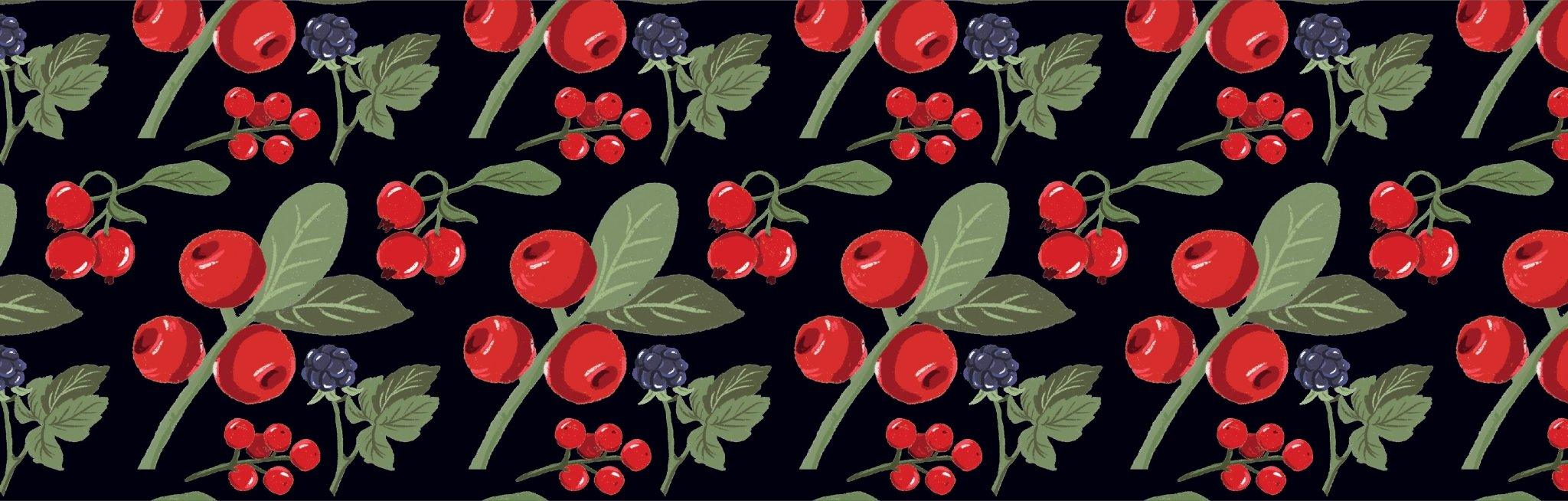 Wild Berries & Rose - elvis+elvin