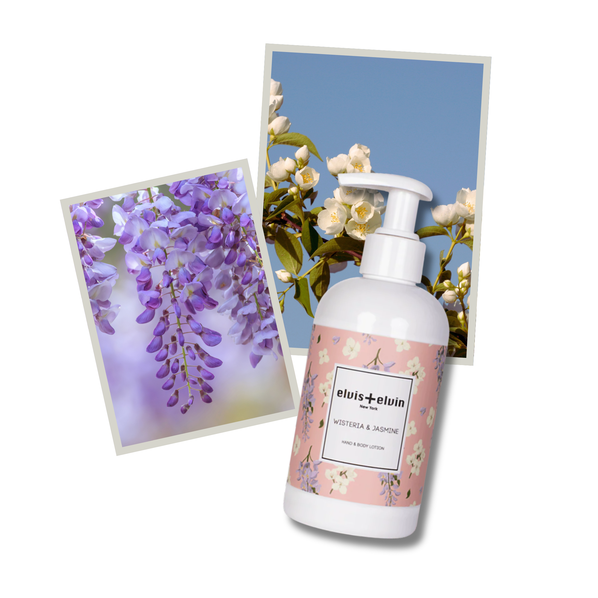 elvis+elvin Wisteria & Jasmine Hand & Body Lotion