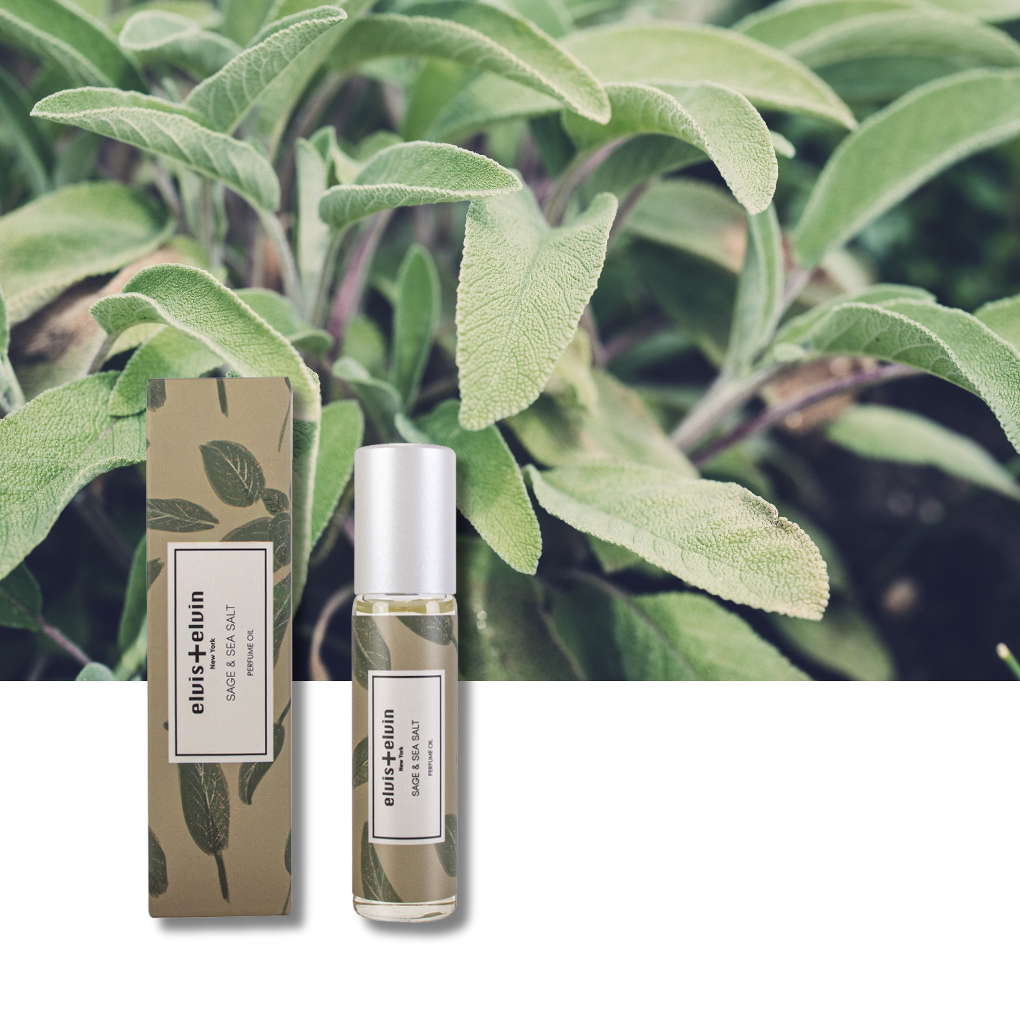Sage & Sea Salt Perfume Oil by elvis+elvin