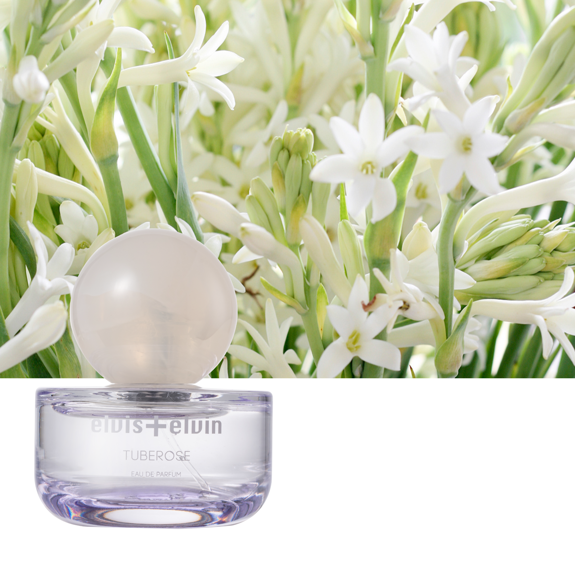 Tuberose Eau de Parfum – elvis+elvin