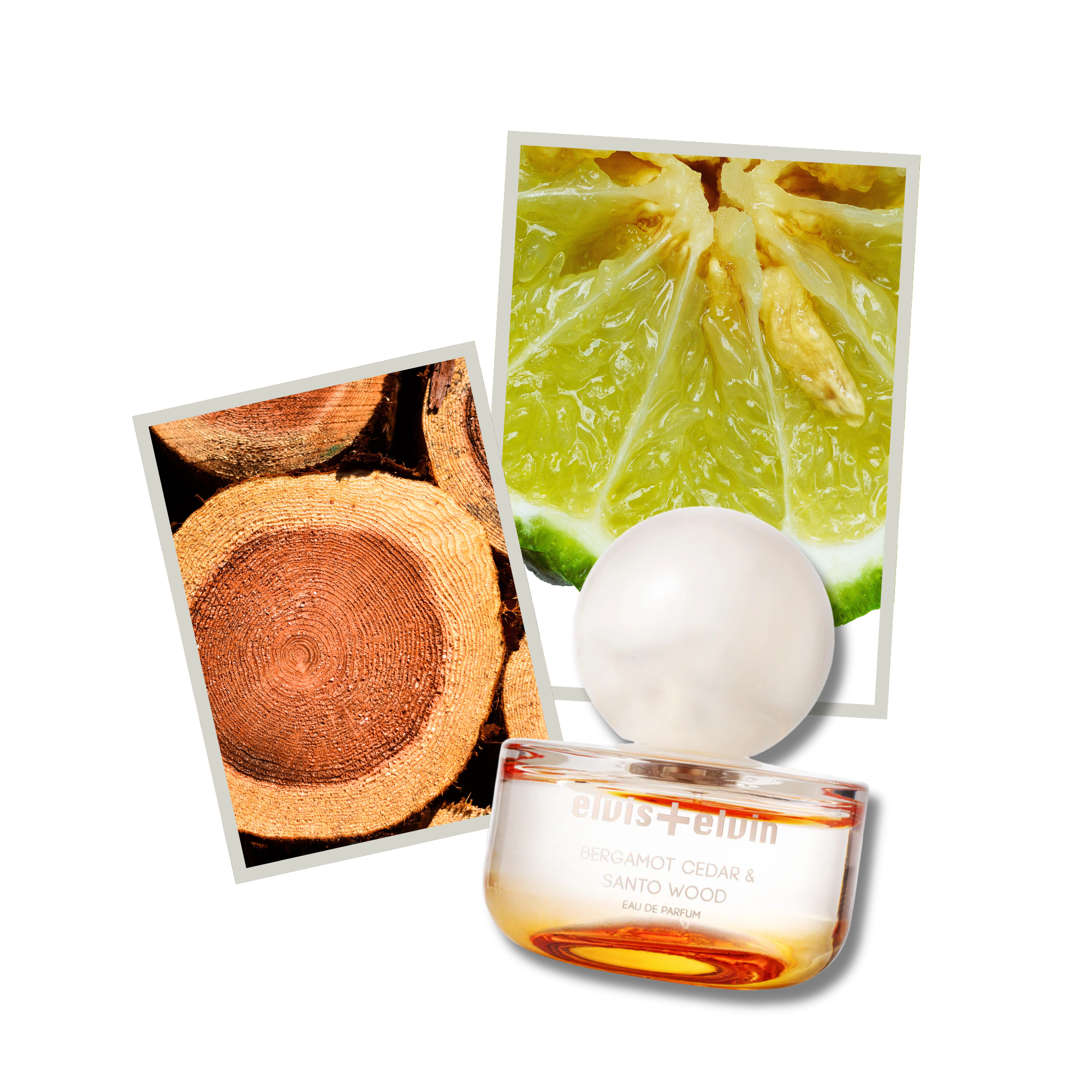 Bergamot Cedar & Santo Wood Eau de Parfum – elvis+elvin