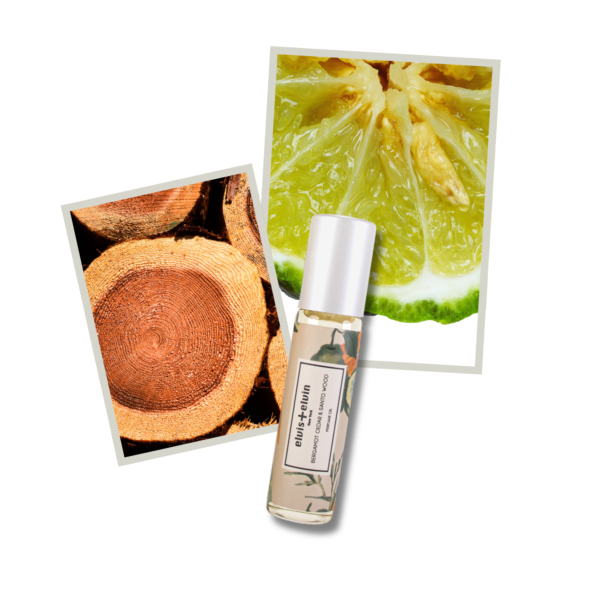 Bergamot Cedar & Santo Wood Perfume Oil by elvis+elvin