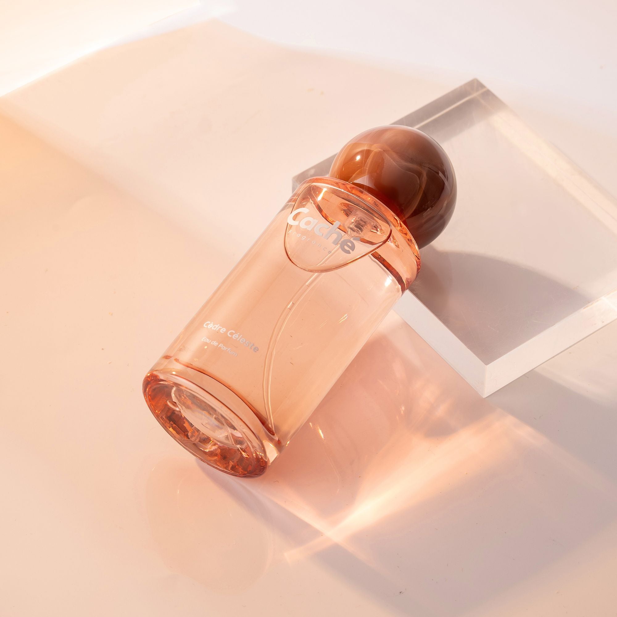 Caché - Cèdre Céleste