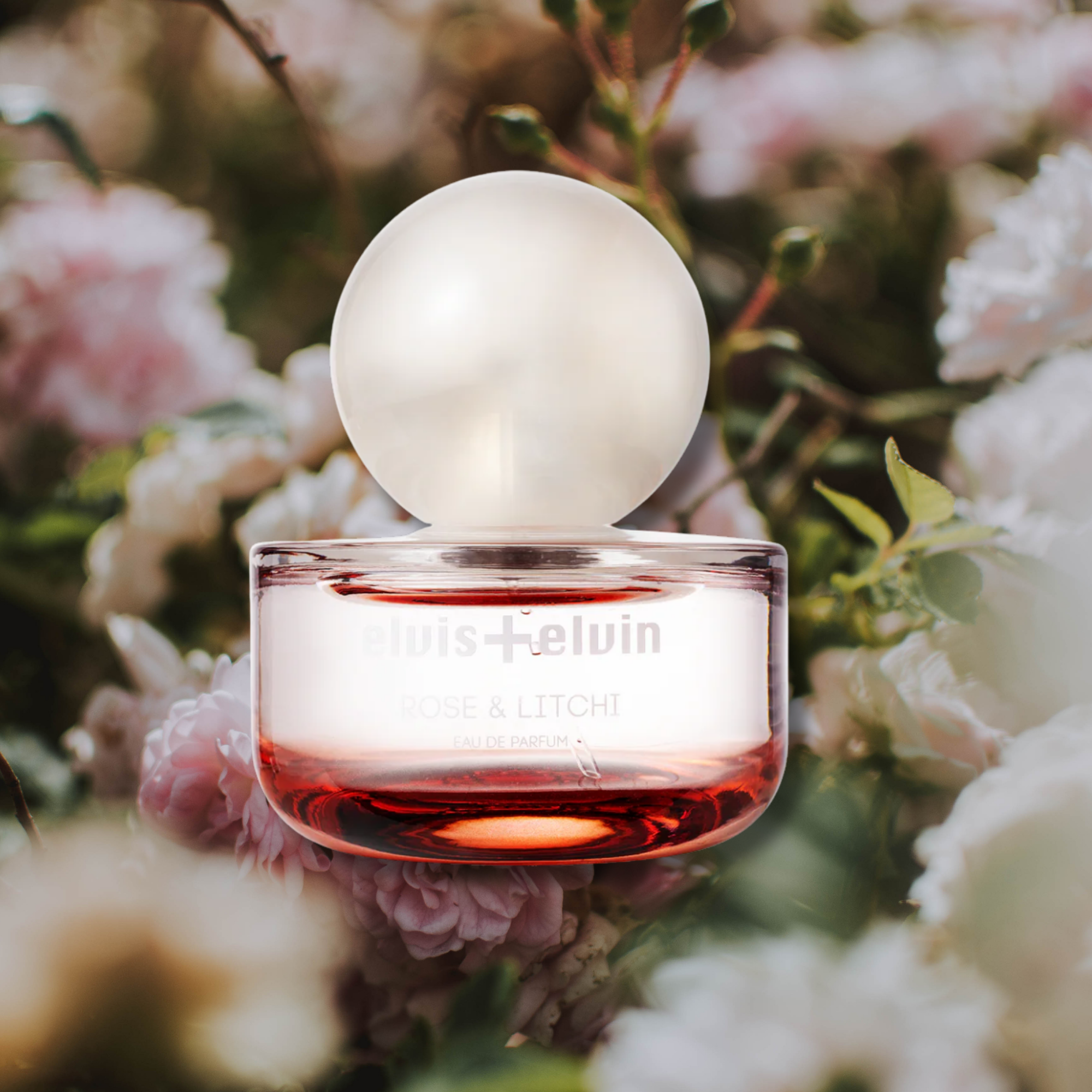 Rose & Litchi Eau de Parfum – elvis+elvin