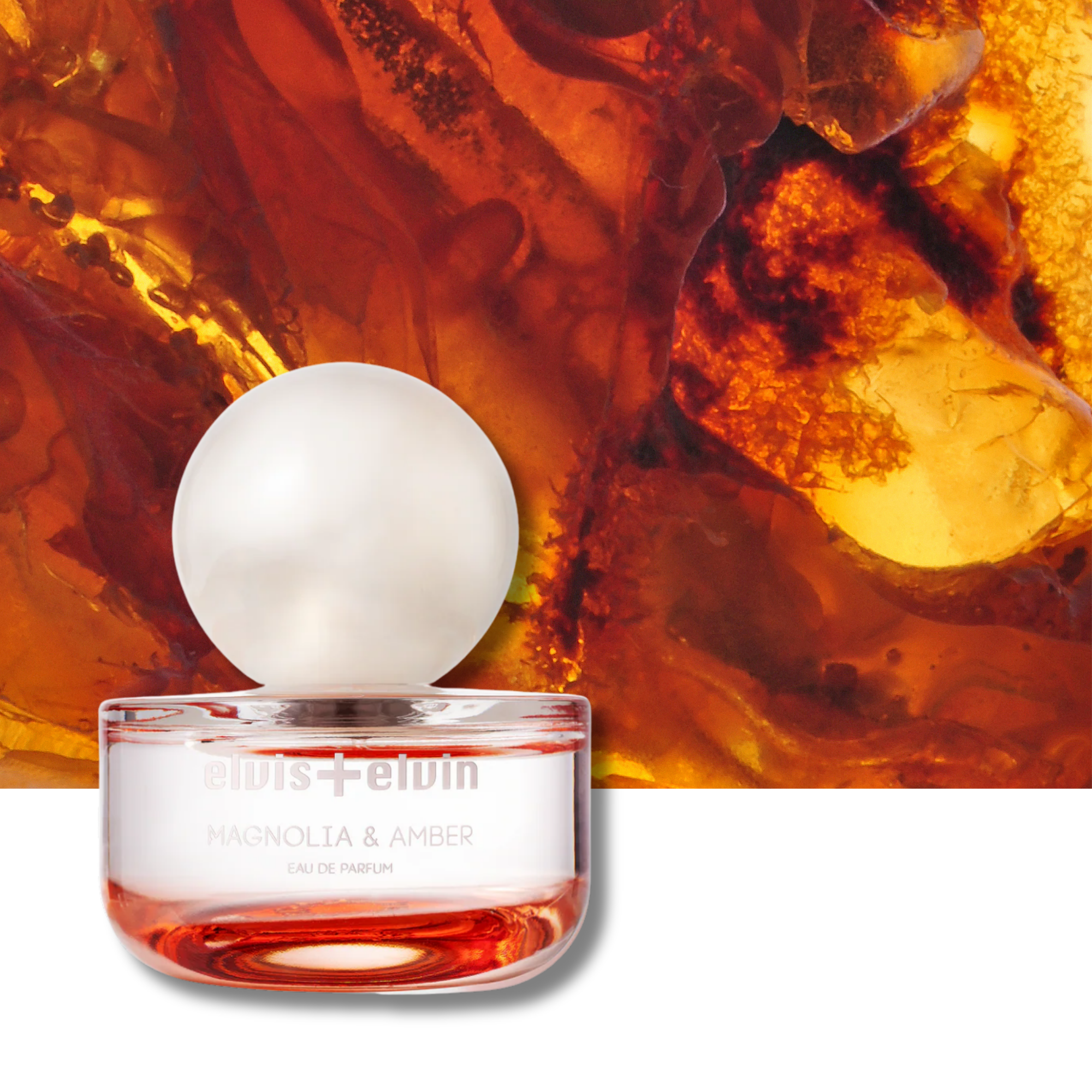Magnolia & Amber Eau de Parfum – elvis+elvin