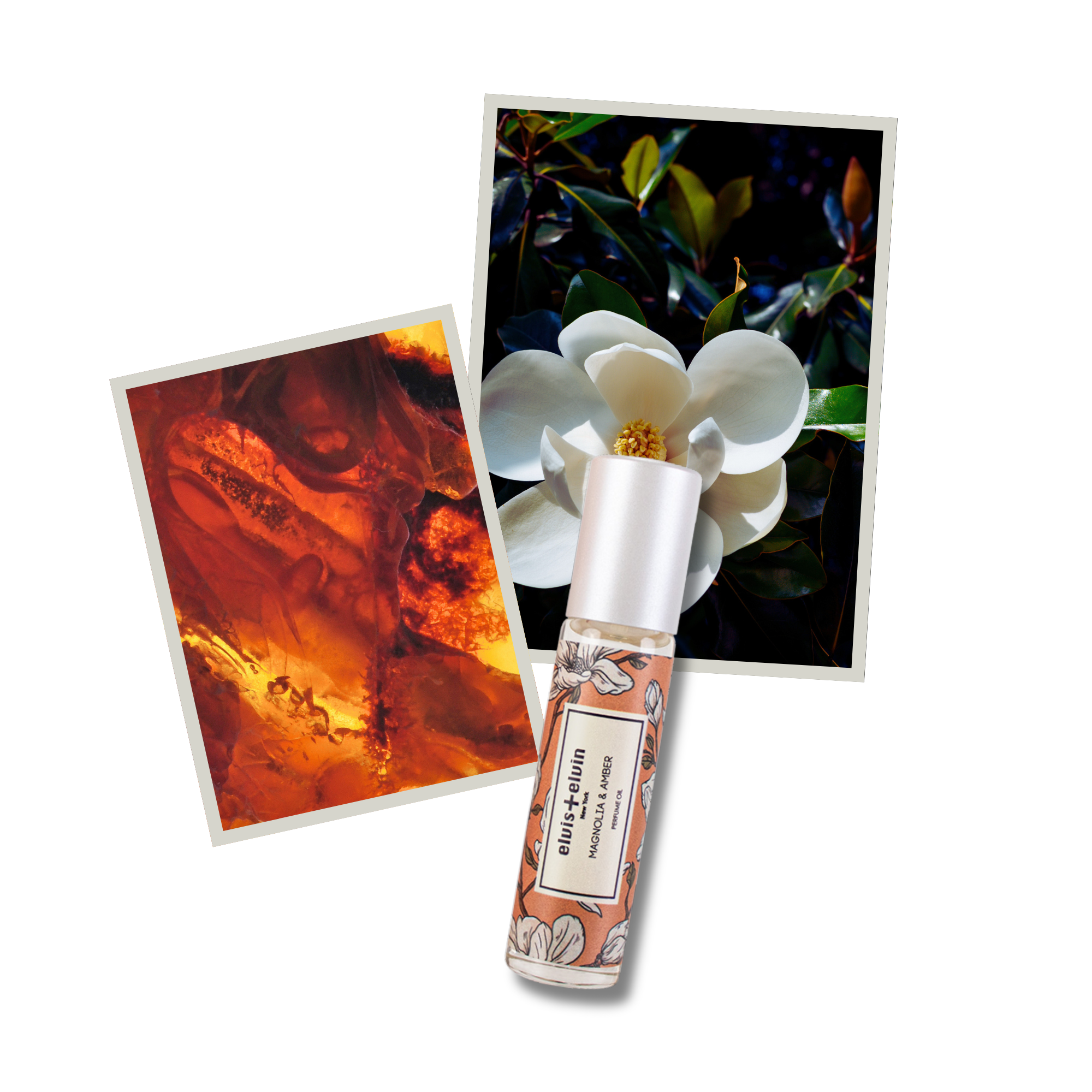 Magnolia & Amber Perfume Oil by elvis+elvin
