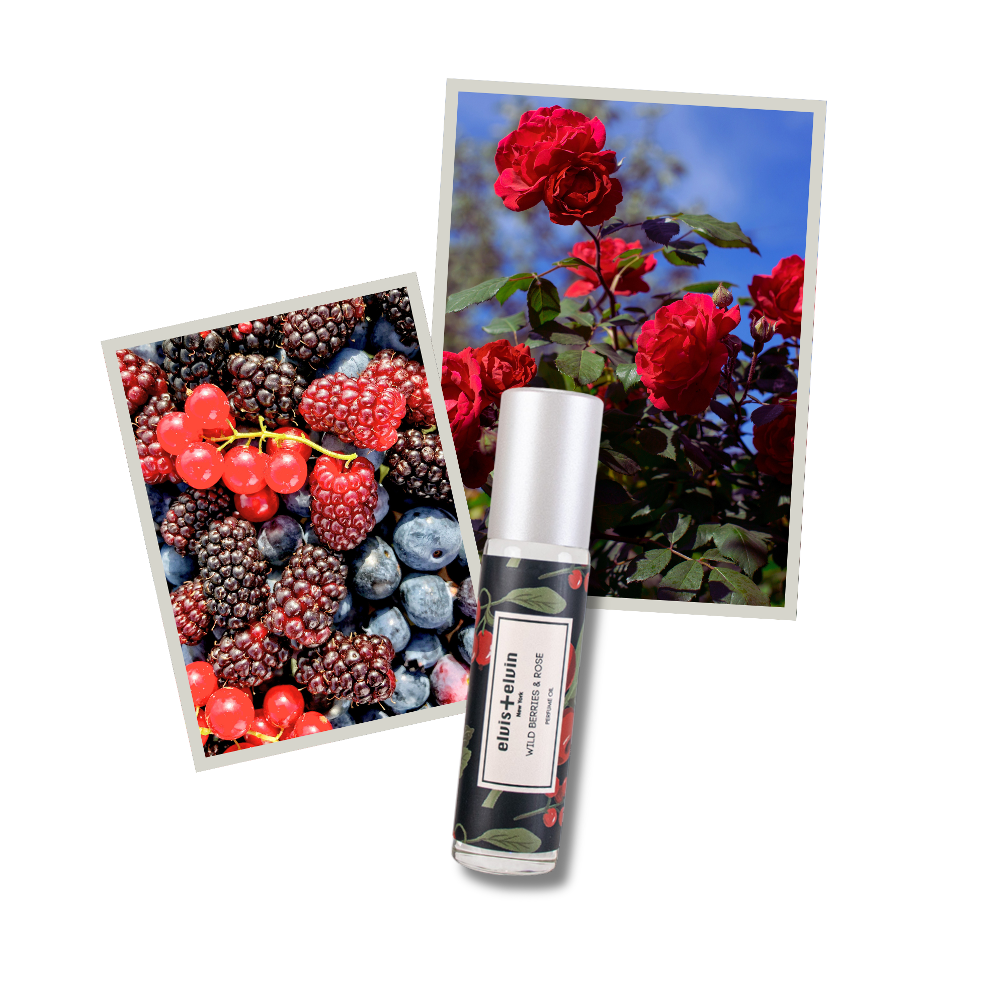 Wild Berries & Rose Perfume Oil by elvis+elvin