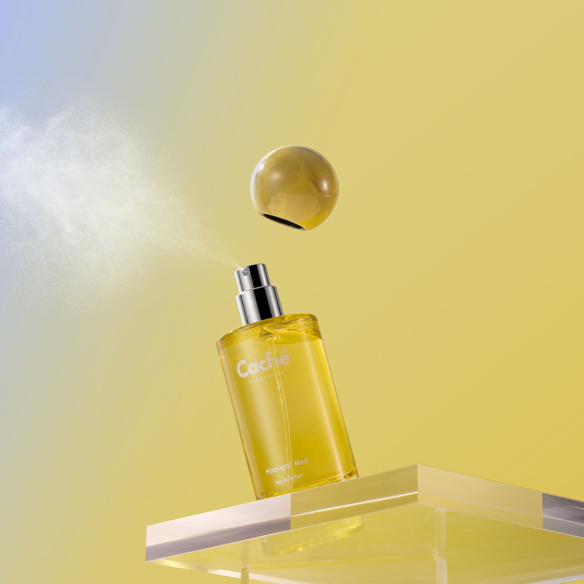 Caché - Midnight Noir