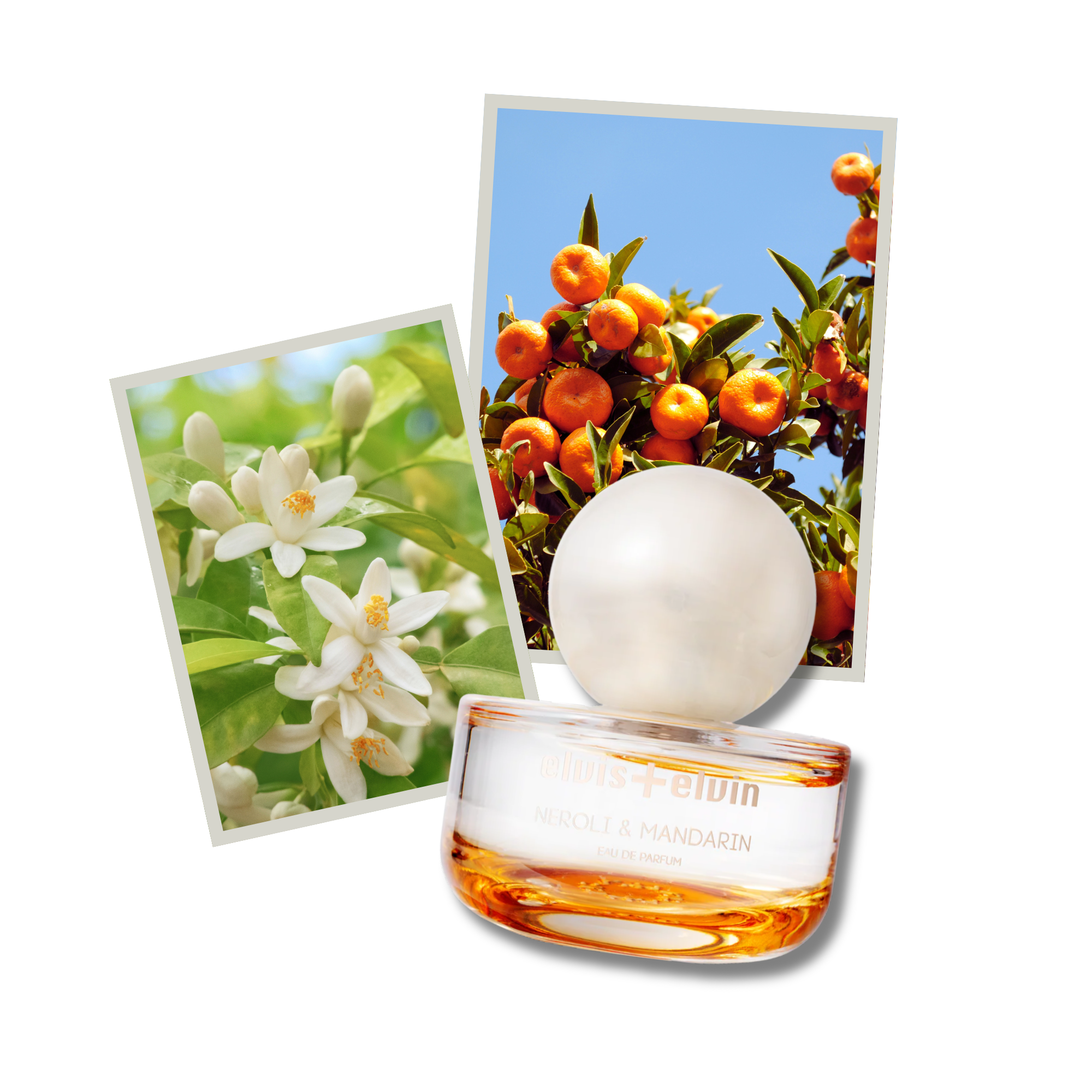 Neroli & Mandarin Eau de Parfum – elvis+elvin