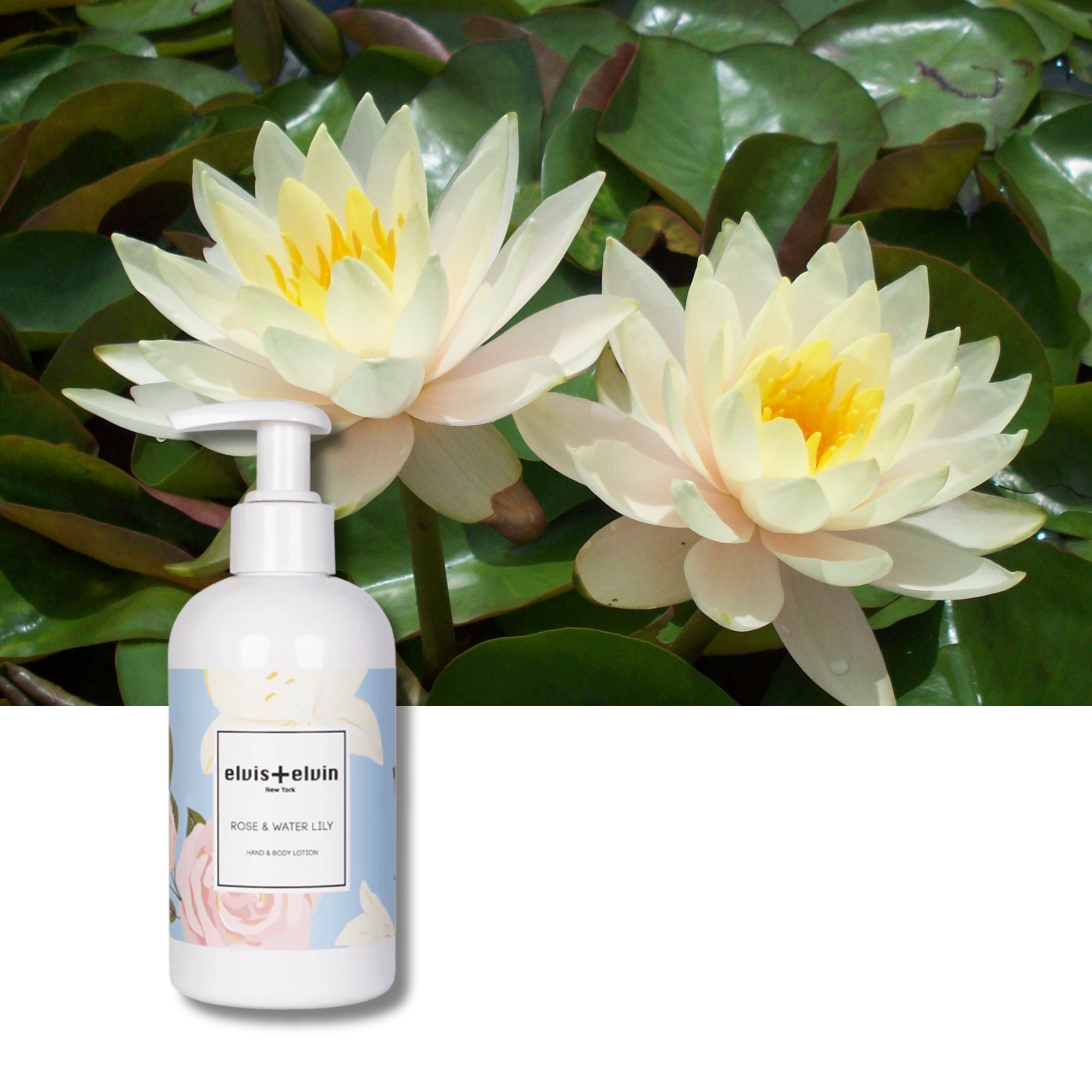 elvis+elvin Rose & Water Lily  Hand & Body Lotion