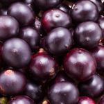 Acai Berry Extract