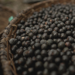 Acai Seed Oil