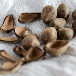 Astrocaryum Tucuma Seed Butter
