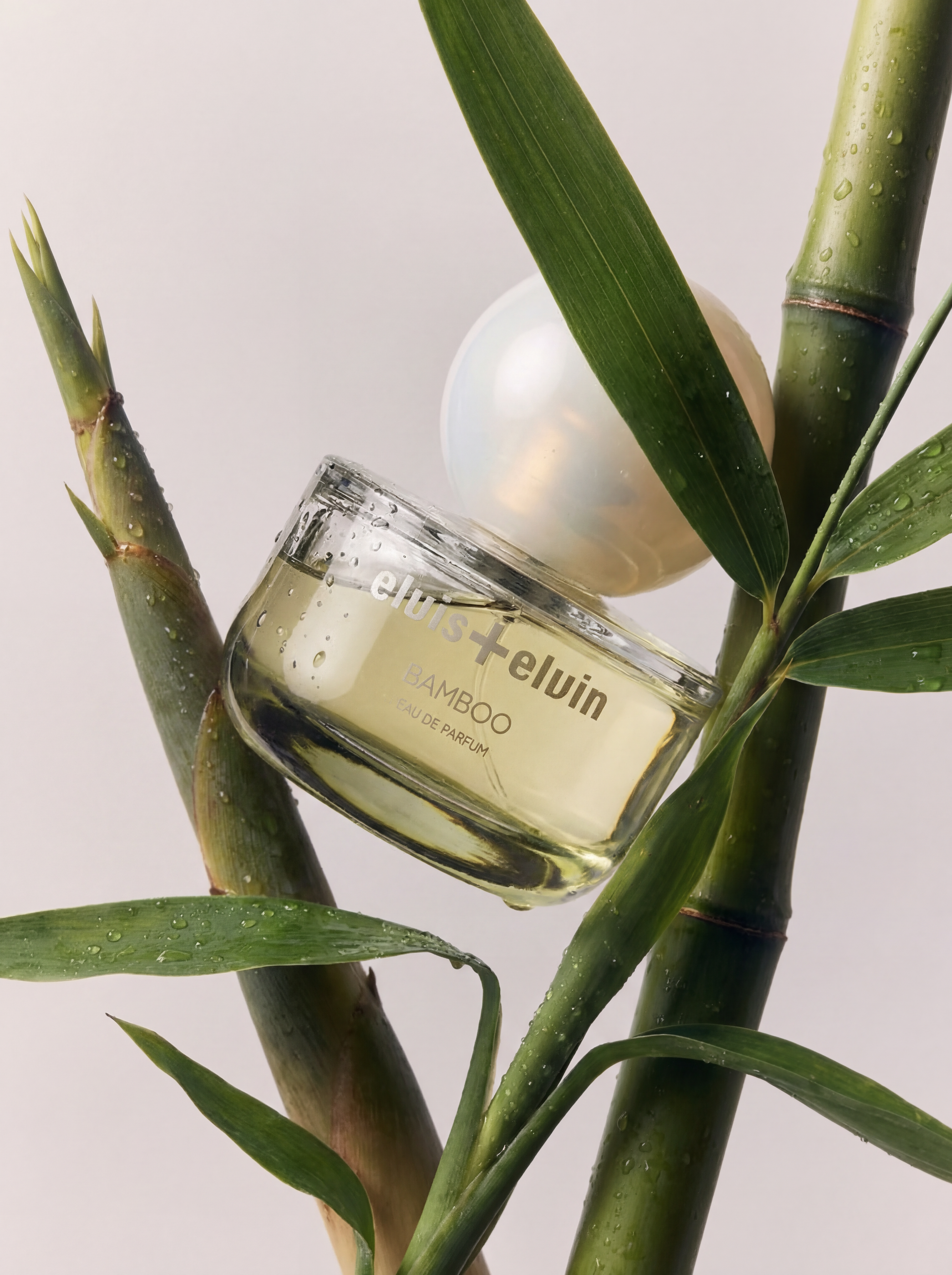 Bamboo Eau de Parfum – elvis+elvin