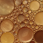 Camellia Seed Oil