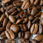Coffee Seed Oil