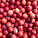 Cranberry Extract