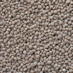 Magnesium Ascorbyl Phosphate