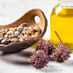 Manketti Seed Oil
