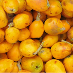 Marula Seed Oil