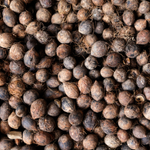 Murumuru Seed Butter