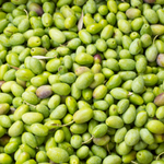 Olea Europaea (Olive) Fruit Oil