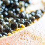 Papaya Extract