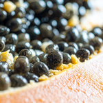 Papaya Seed Oil