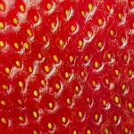 Strawberry Seed Oils