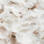 Tremella Fuciformis Sporocarp Extract