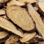 Dipsacus