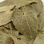 Epimedium