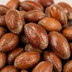 Jujube seed