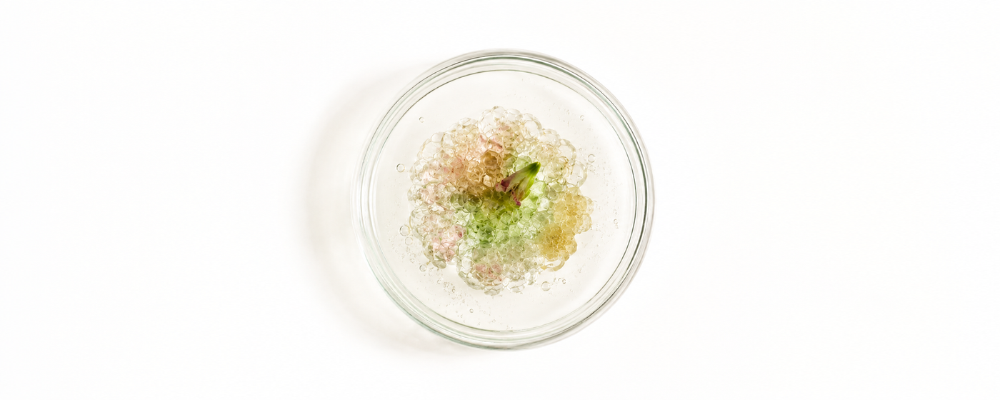 Plant stem-cell research heritage
